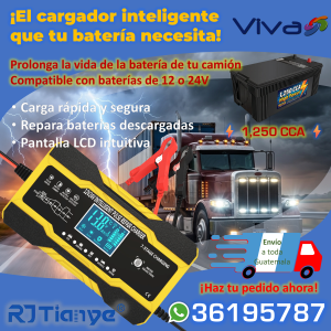 Cargador para batería – Cargador inteligente RJTianye 12V y 24V 10A/5A baterías 2Ah - 150Ah de ácido plomo